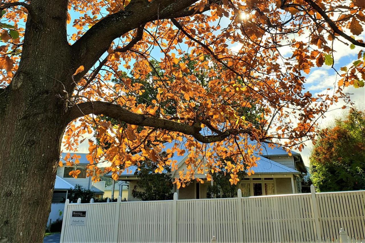 Healesville House - Magnolia House المظهر الخارجي الصورة
